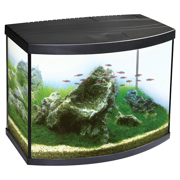 LiveAquaria® Bow-Front Aquarium