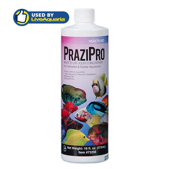 Aquarium Solutions PraziPro