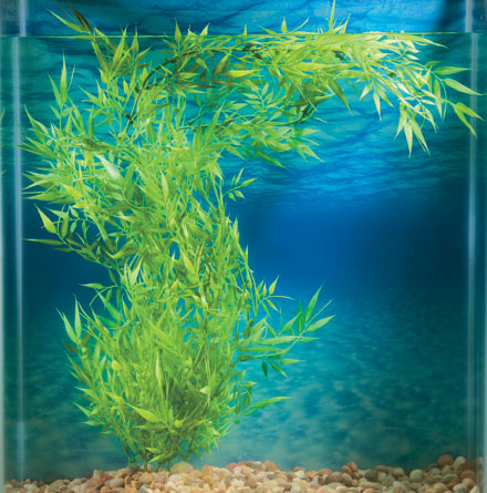 liveaquaria approved aquatic supplies