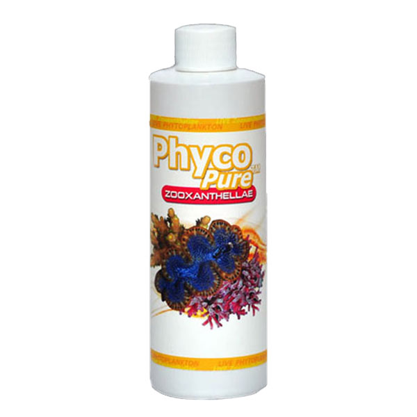 Algagen PhycoPure™ Zooxanthellae Algagen PhycoPure™ Zooxanthellae