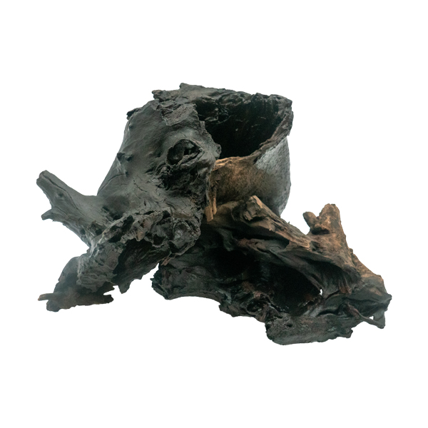 Aquatic Driftwood Aquatic Driftwood