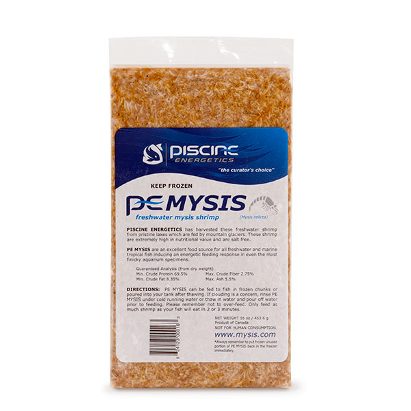 mysid shrimp mysid shrimp