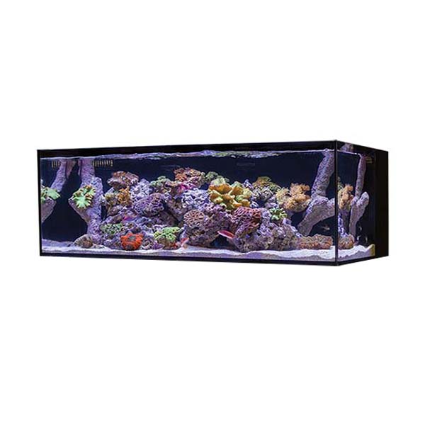 Cobalt Aquatics 50-Gallon C-Vue Aquarium