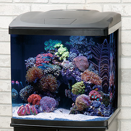 liveaquaria approved aquatic supplies
