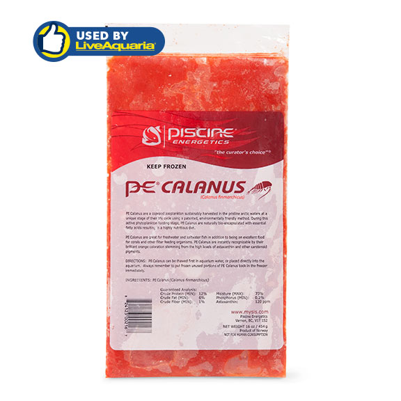 Piscine Energetics PE Calanus Frozen Fish Food