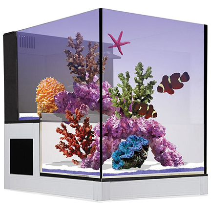 Innovative Marine NUVO Concept™ Drop-Off Peninsula Aquarium Innovative Marine NUVO Concept™ Drop-Off Peninsula Aquarium