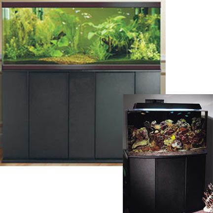 Aquatic Fundamentals Stands Aquatic Fundamentals Stands