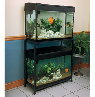 Titan Eze Metal Double Stands Titan Eze Metal Double Stands