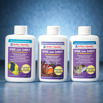 One And Only Nitrifying Bacteria by DrTim's Aquatics