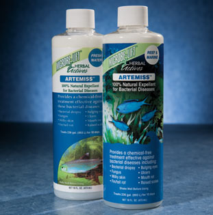 liveaquaria approved aquatic supplies