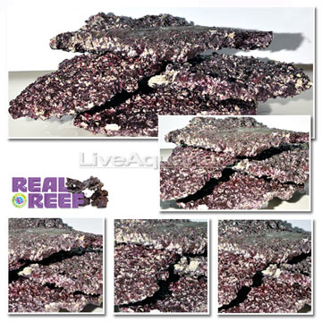 Real Reef Eco Friendly Shelf Rock