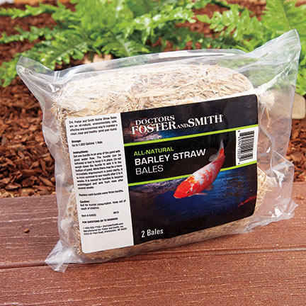 All-Natural Barley Straw Bales by Drs. Foster & Smith All-Natural Barley Straw Bales by Drs. Foster & Smith