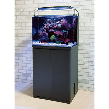 Liveaquaria Roved Aquatic Supplies Jbj Rimless Aquarium Stand Kits Aquarium