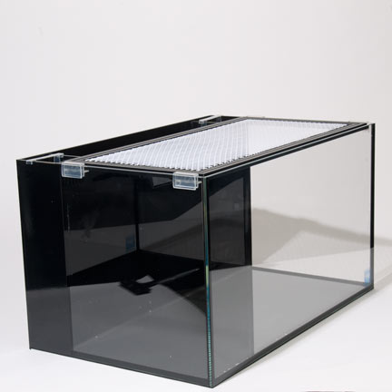 nuvo fusion aquarium best
