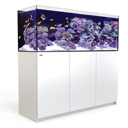 liveaquaria approved aquatic supplies