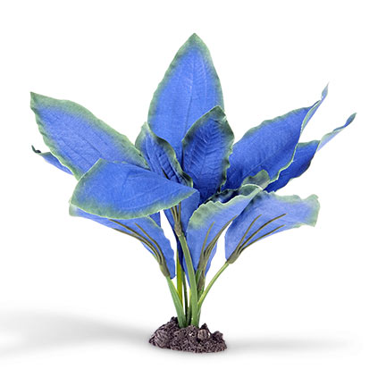 Azoo Real Plant Artificial Echindorus osiris - Blue