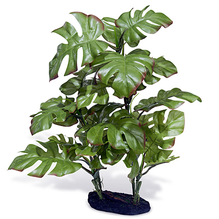 Azoo Real Plant Artificial Monstera deliciosa