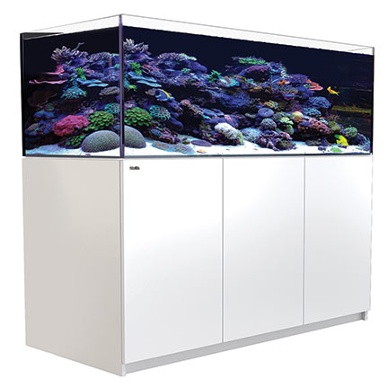 liveaquaria approved aquatic supplies