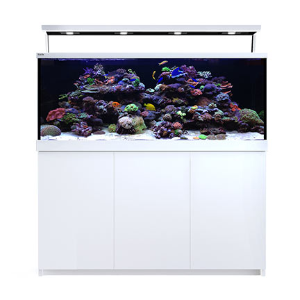 liveaquaria approved aquatic supplies