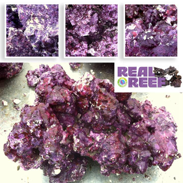 Real Reef Eco Friendly Natural Rock