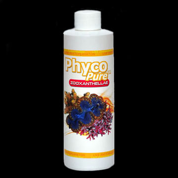 Algagen PhycoPure™ Zooxanthellae