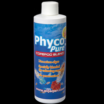 AlgaGen PhycoPure™ Copepod Blend