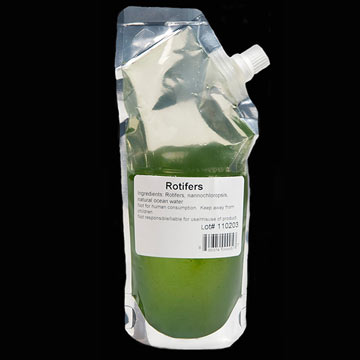 AlgaGen Rotifers