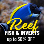 Reef Safe Collection