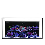 Waterbox Silver Marine All-In-One 28.2 Frag System 