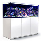 Red Sea REEFER™ XXL 750 Rimless Reef Ready System, White