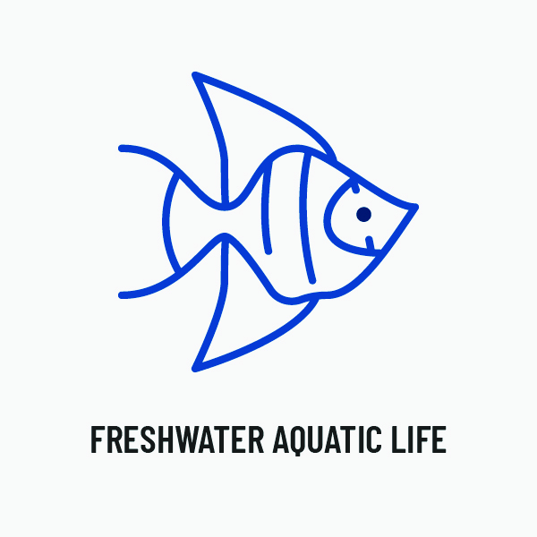 Freshwater Aquatic Life