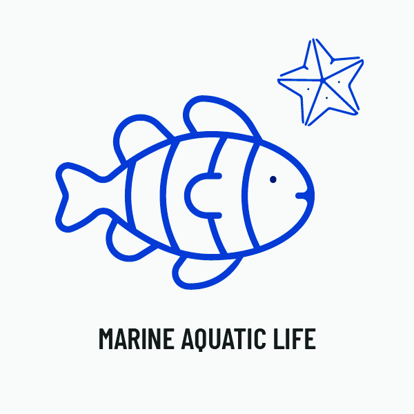Marine Aquatic Life