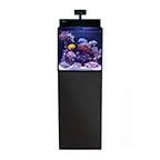 Red Sea MAX® NANO Reef System - Black