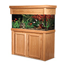 R&J Enterprises Aquarium Groove Series 48" x 13" x 30" High Cabinet & Canopy