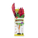 Marina Naturals Medium Red & Green Waffle Leaf Silk Plant