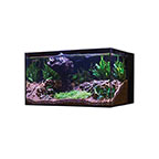 Cobalt Aquatics 26G C-Vue Aquarium