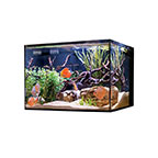 Cobalt Aquatics 45G C-Vue Aquarium