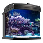 28G Nano-Cube WIFI AIO Aquarium