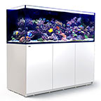 Red Sea REEFER™ XXL 750 Rimless Reef Ready System, White
