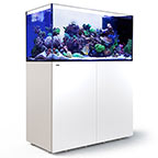 Red Sea REEFER™ Peninsula 500 Rimless Reef Ready System, White