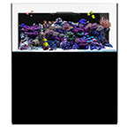 WATERBOX REEF PRO 190.5 BLACK