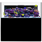 WATERBOX REEF PRO 220.6 BLACK