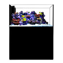 Waterbox Crystal Penninsula Reef Aquarium - 170G, Black