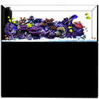WATERBOX PENINSULA 7226 BLACK