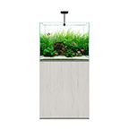 WATERBOX CLEAR 2418 - Beige +Edition