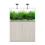  WATERBOX CLEAR 3618 Beige +Edition