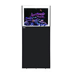 Waterbox ALL-IN-ONE 30.2 Aquarium System with Stand - Black