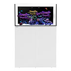 Waterbox ALL-IN-ONE 50.3 Aquarium System with Stand - White