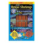 San Francisco Bay Brand Frozen Baby Brine Shrimp Cubes