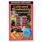 San Francisco Bay Brand Frozen Cultivated Bloodworms